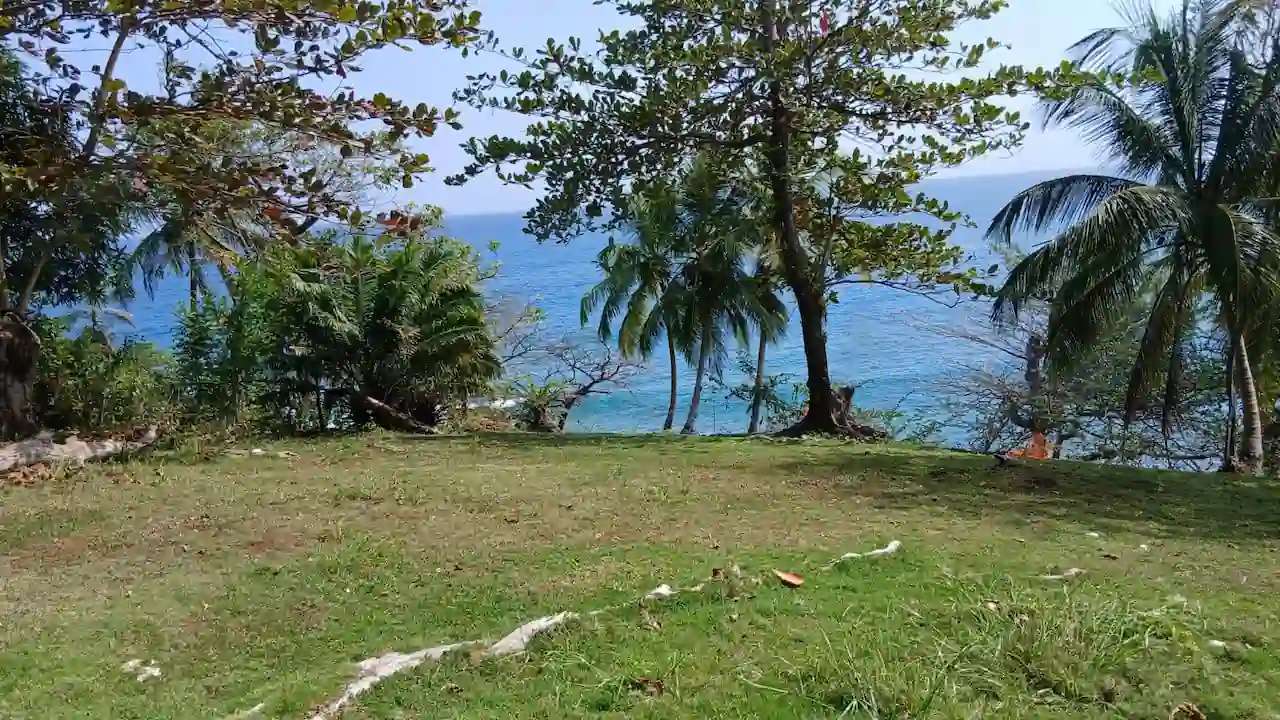 5.88-ACRE CORN ISLAND PROPERTY