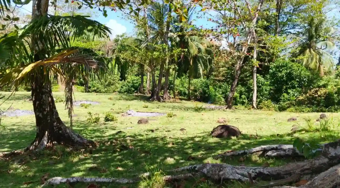 corn island nicaragua (11)