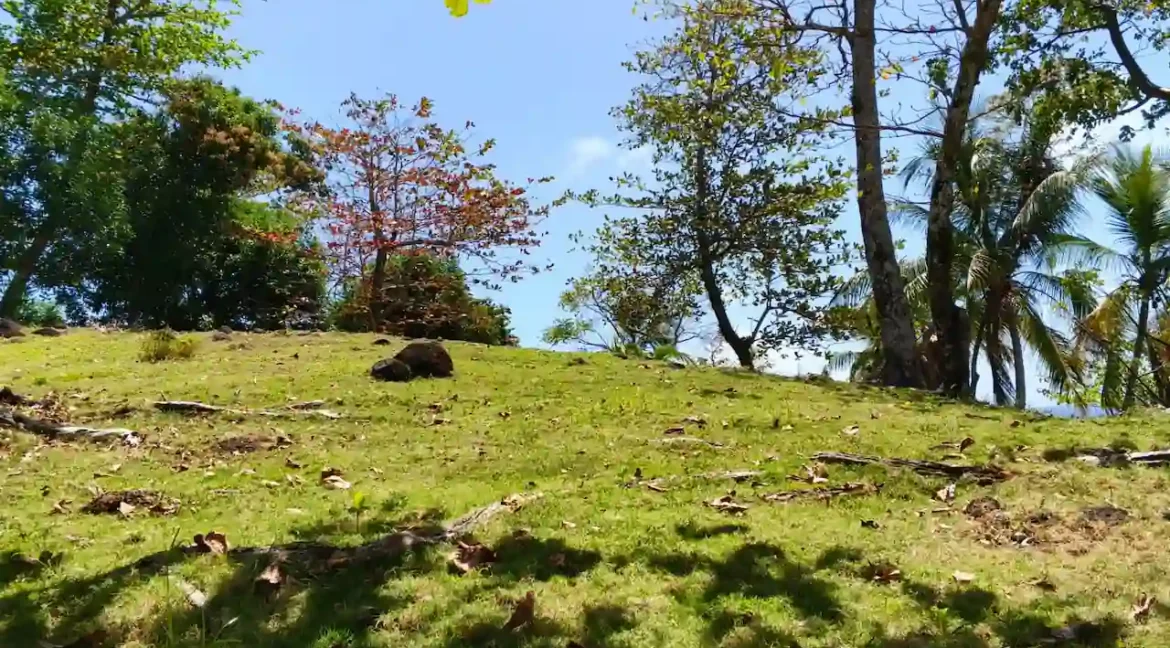 corn island nicaragua (13)