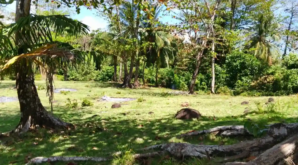corn island nicaragua (14)
