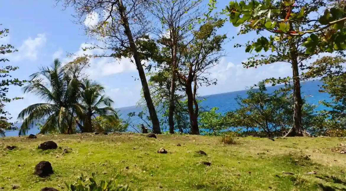corn island nicaragua (15)