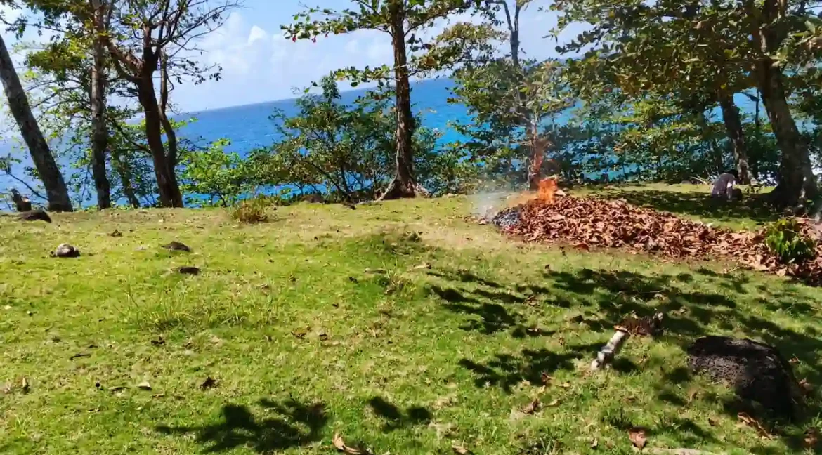 corn island nicaragua (7)