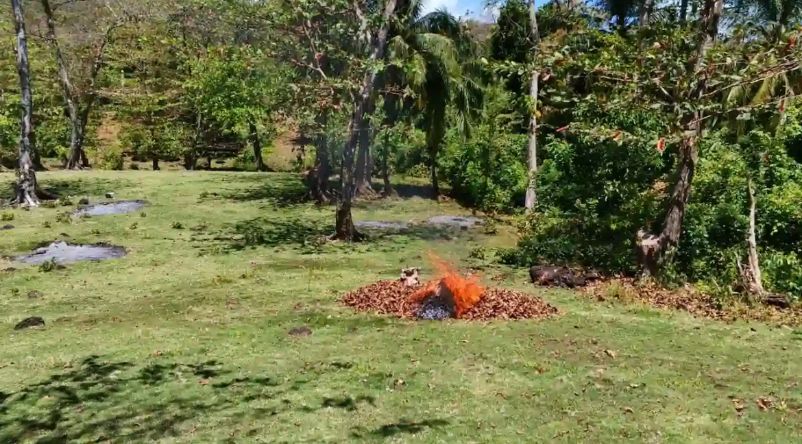 corn island nicaragua (8)