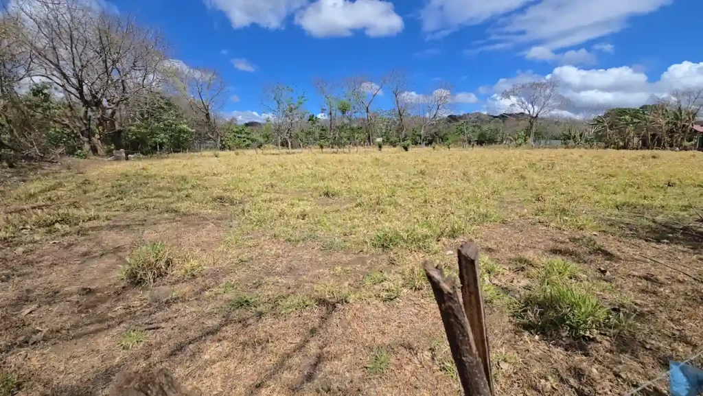Mature fruit trees in the fertile green area of a Diriomo real estate property.
