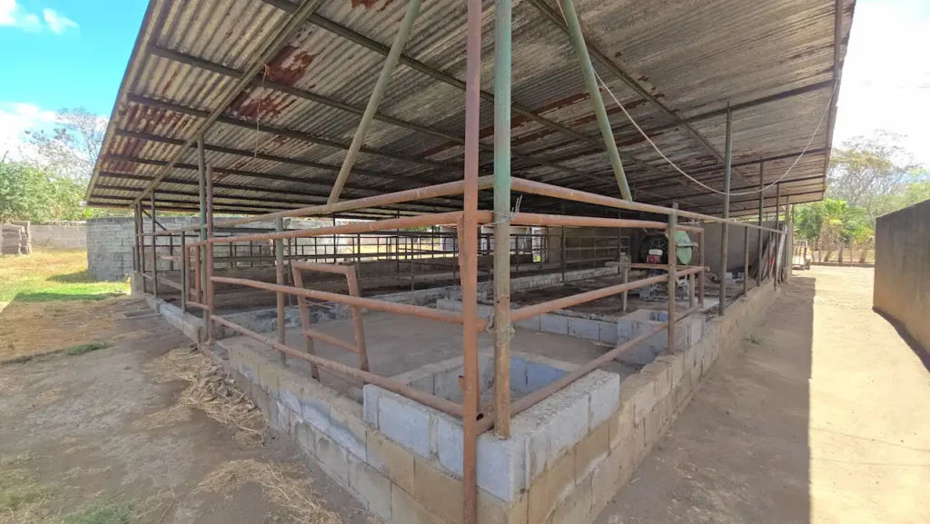Cattle areas, horse stables, and livestock infrastructure for sale in Diriomo Real Estate.