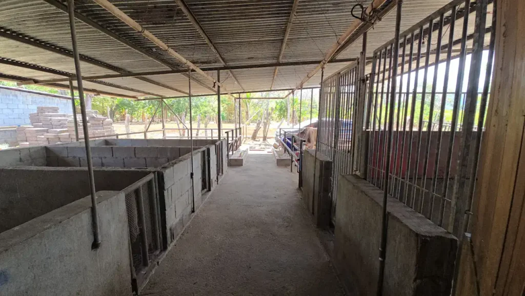 Cattle areas, horse stables, and livestock infrastructure for sale in Diriomo Real Estate.