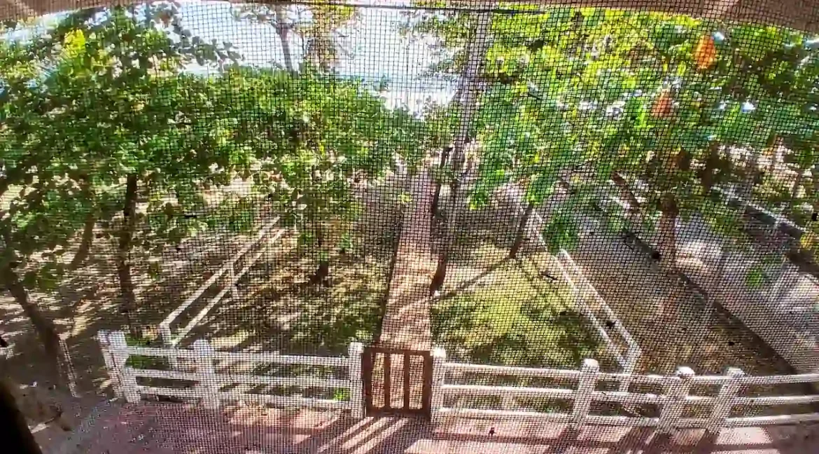 BEACHFRONT PROPERTY FOR SALE IN PONELOYA LEON NICARAGUA (44)