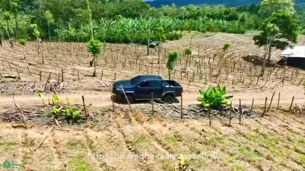 Agricultural Farm on 56.91 (2)