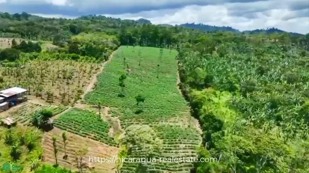 Agricultural Farm on 56.91 (3)