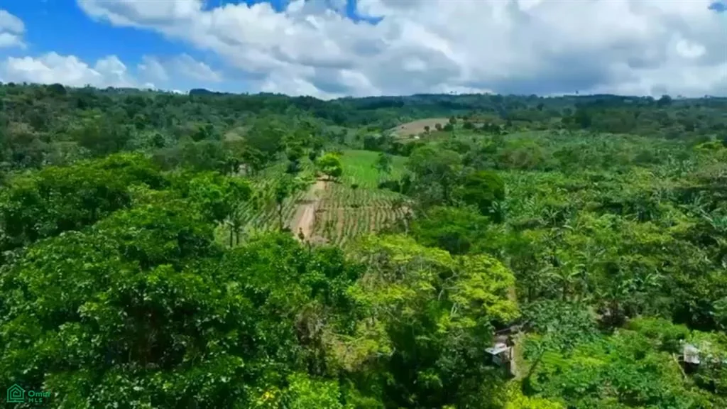 Agricultural Farm on 56.91 (4)