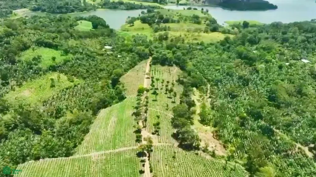Agricultural Farm on 56.91 (5)