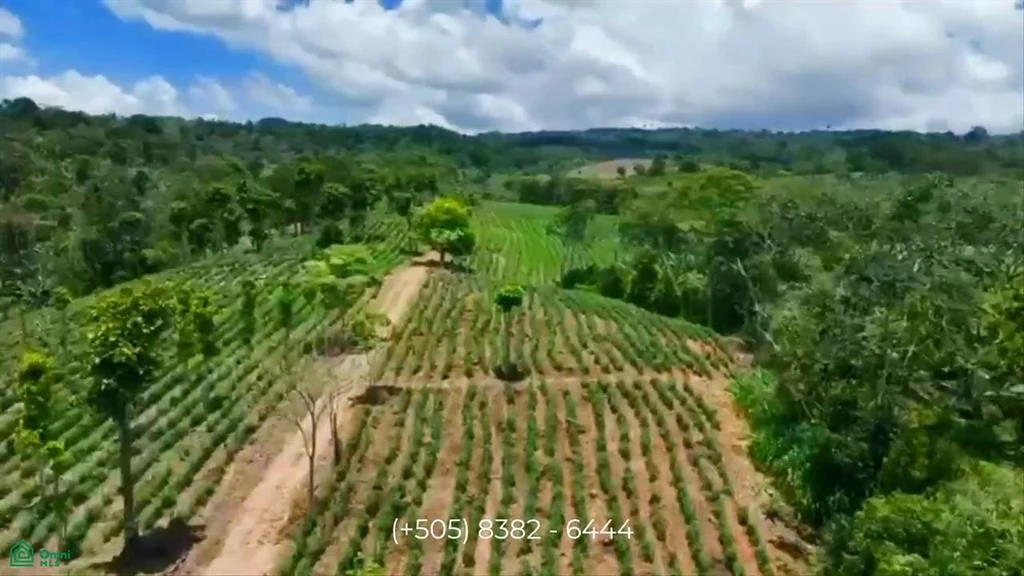 Agricultural Farm on 56.91 (6)
