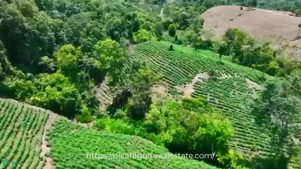 Agricultural Farm on 56.91 (7)
