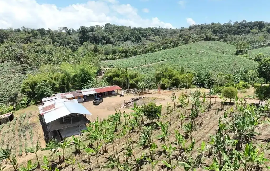 agricultural-farm-jinotega-nicaragua