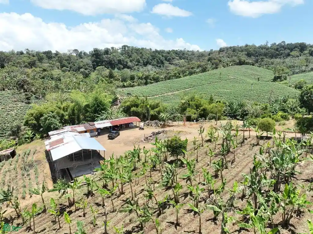 Agricultural Farm on 56.91
