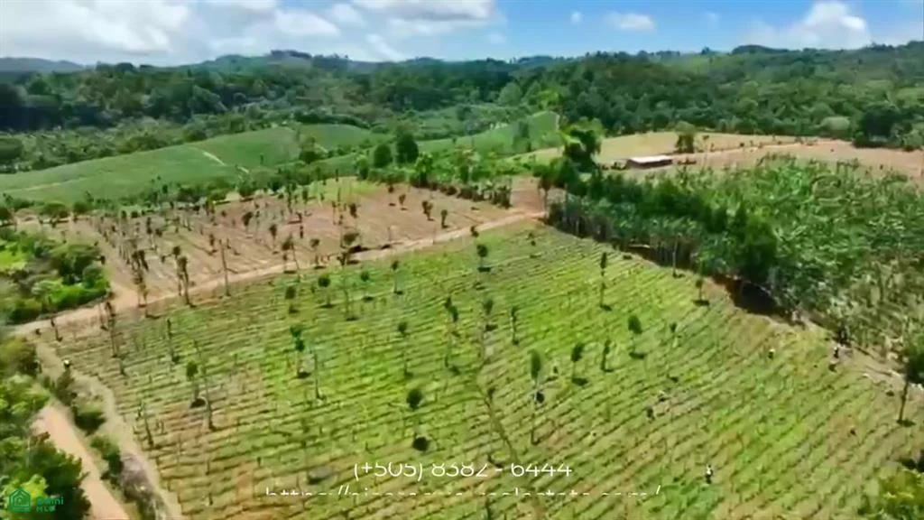 Agricultural Farm on 56.91