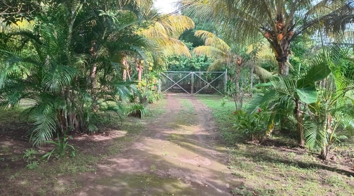 3. Gate 1
