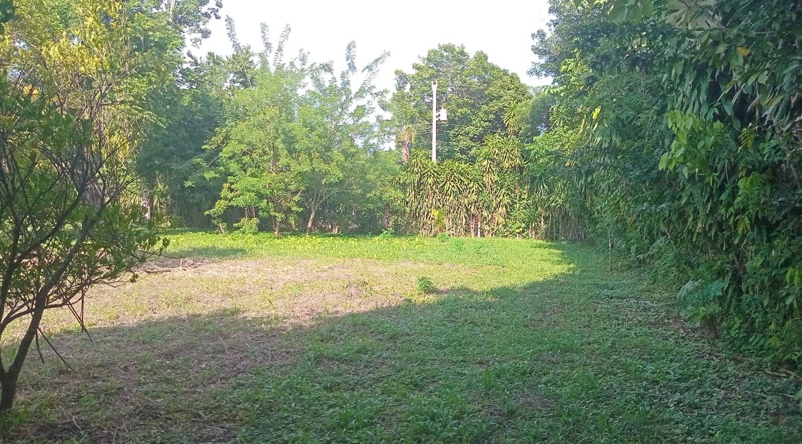 49. farm 22