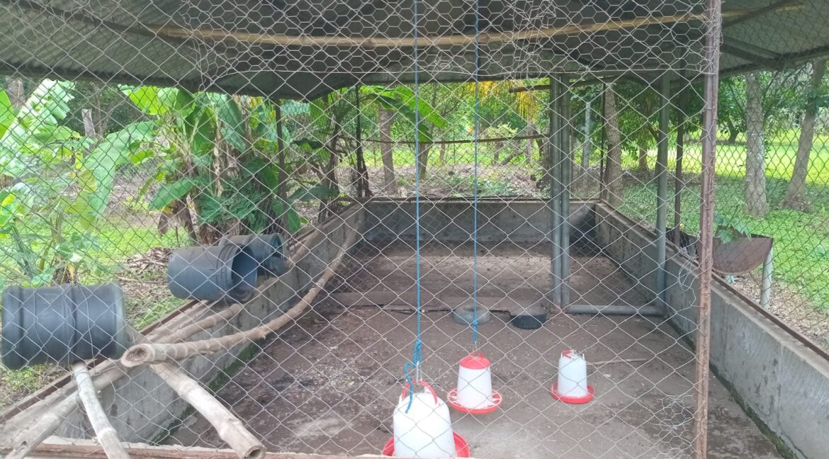 57. Chicken coop