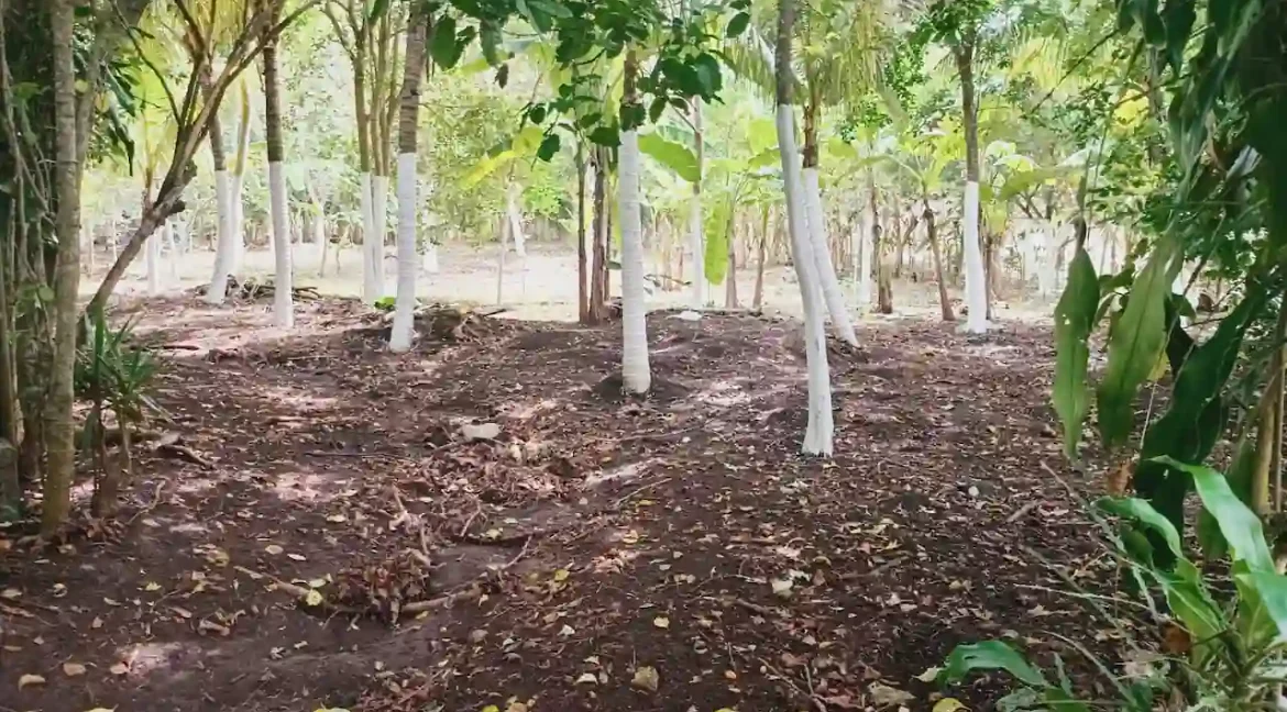 Quinta for Sale on 3.85 Acres in Monimbo (11)