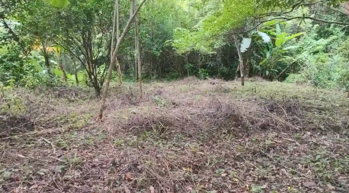 Quinta for Sale on 3.85 Acres in Monimbo (19)