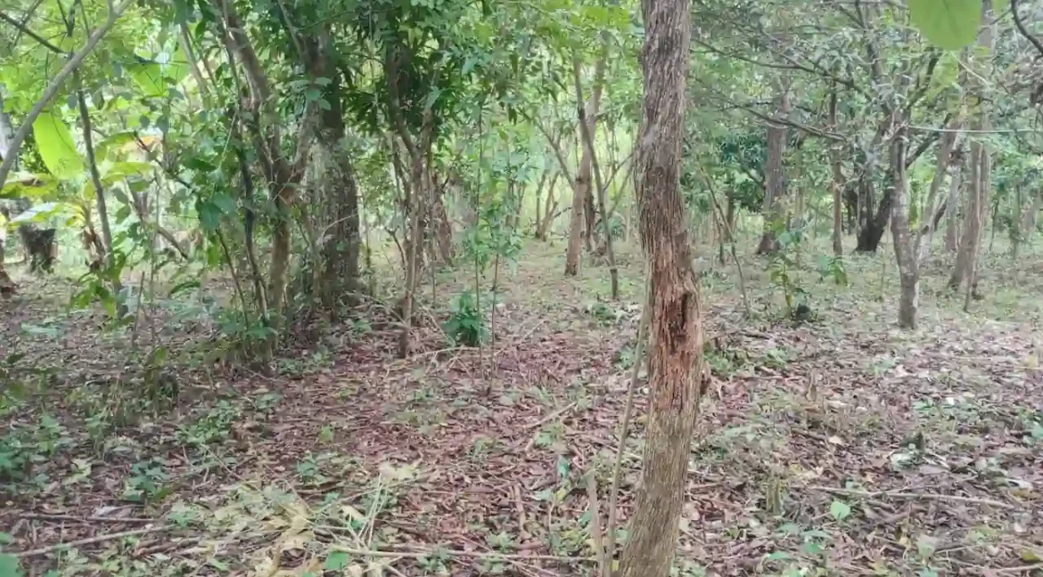 Quinta for Sale on 3.85 Acres in Monimbo (22)