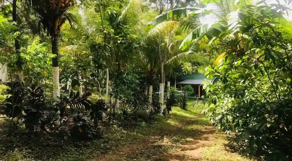 Quinta for Sale on 3.85 Acres in Monimbo (4)