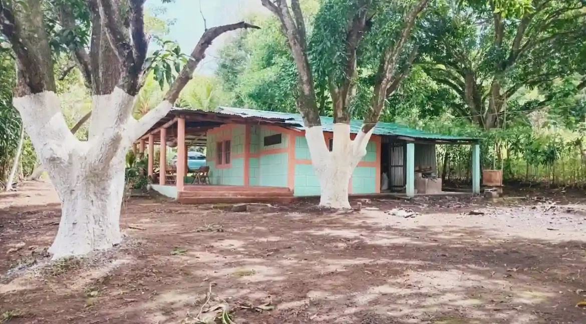 Quinta for Sale on 3.85 Acres in Monimbo (6)