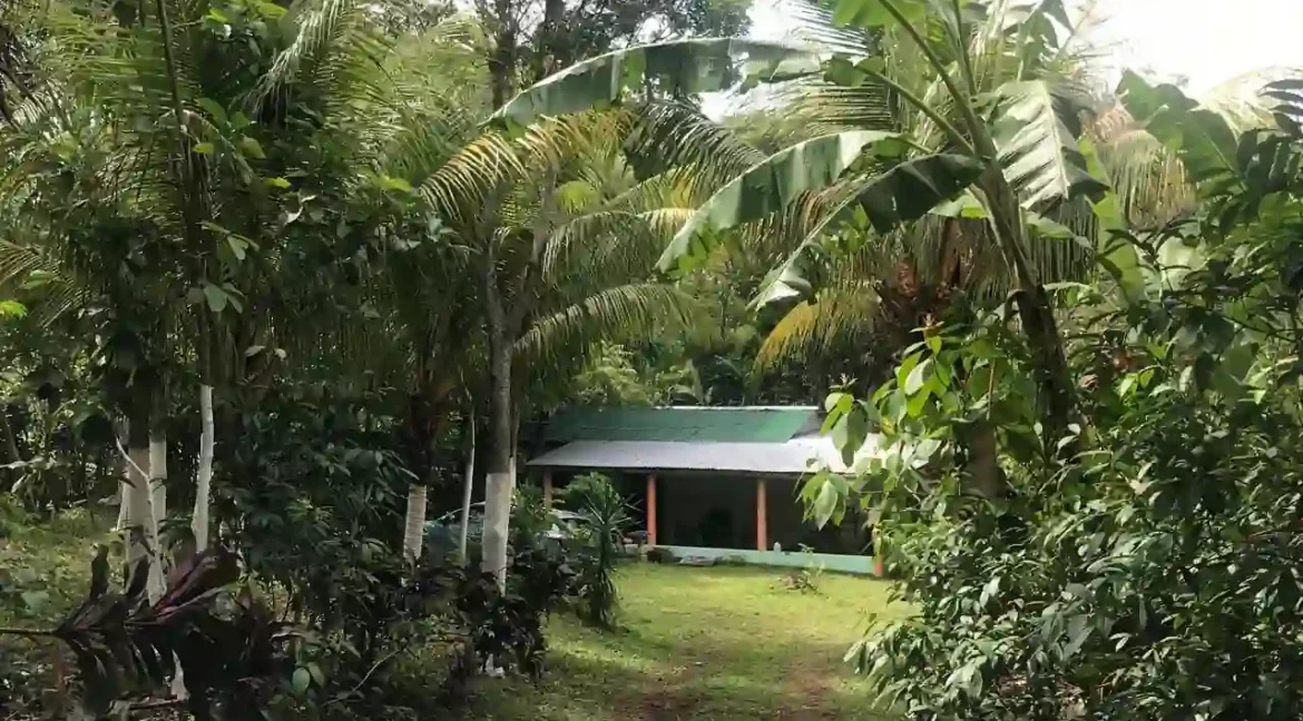 Quinta for Sale on 3.85 Acres in Monimbo (7)