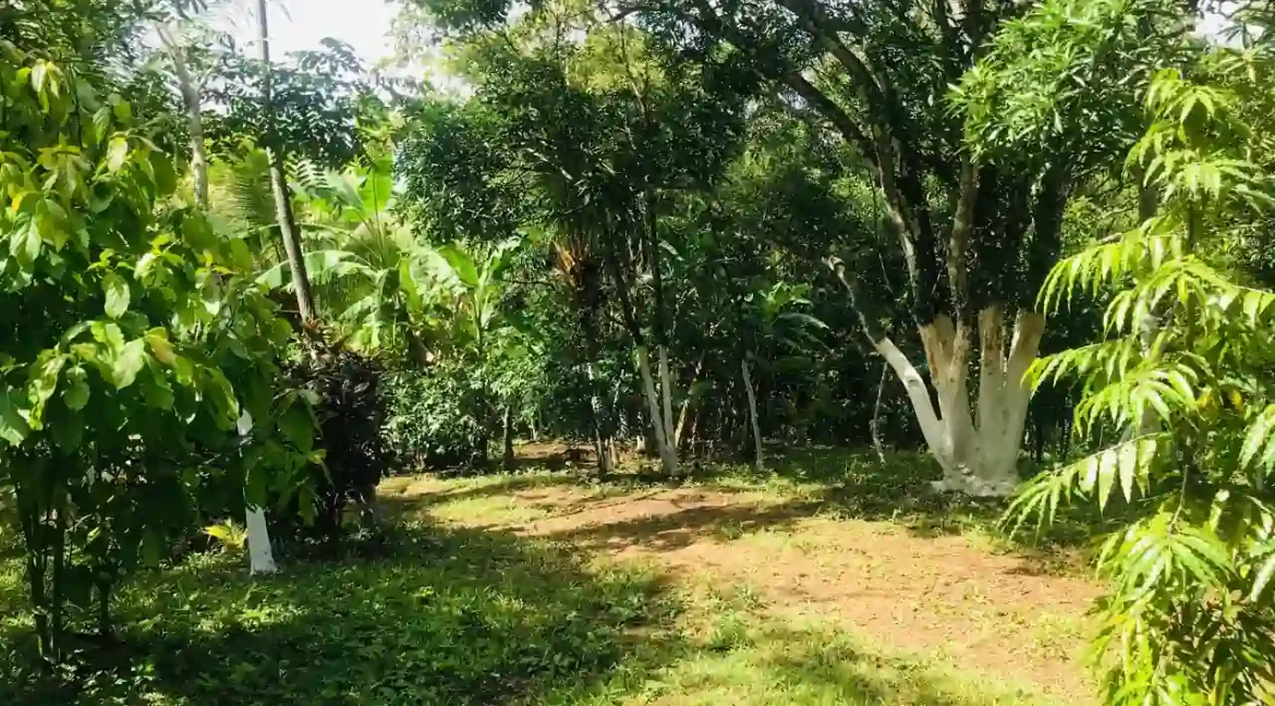 Quinta for Sale on 3.85 Acres in Monimbo (9)