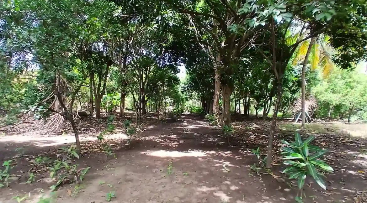 STUNNING-QUINTA-RENTAL-GRANADA-NICARAGUA (18)