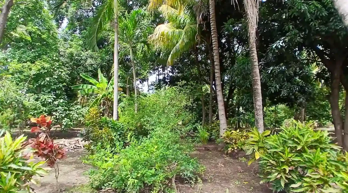 STUNNING-QUINTA-RENTAL-GRANADA-NICARAGUA (19)