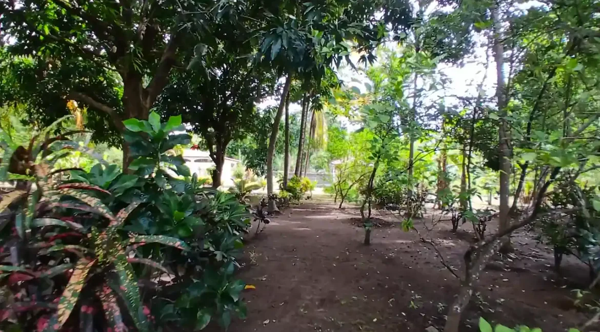 STUNNING-QUINTA-RENTAL-GRANADA-NICARAGUA (21)