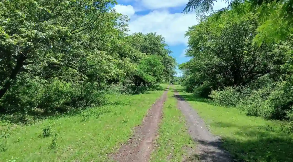 lot-for-sale-vista-lagos-comarca-laguna-de-apoyo-granada (1)