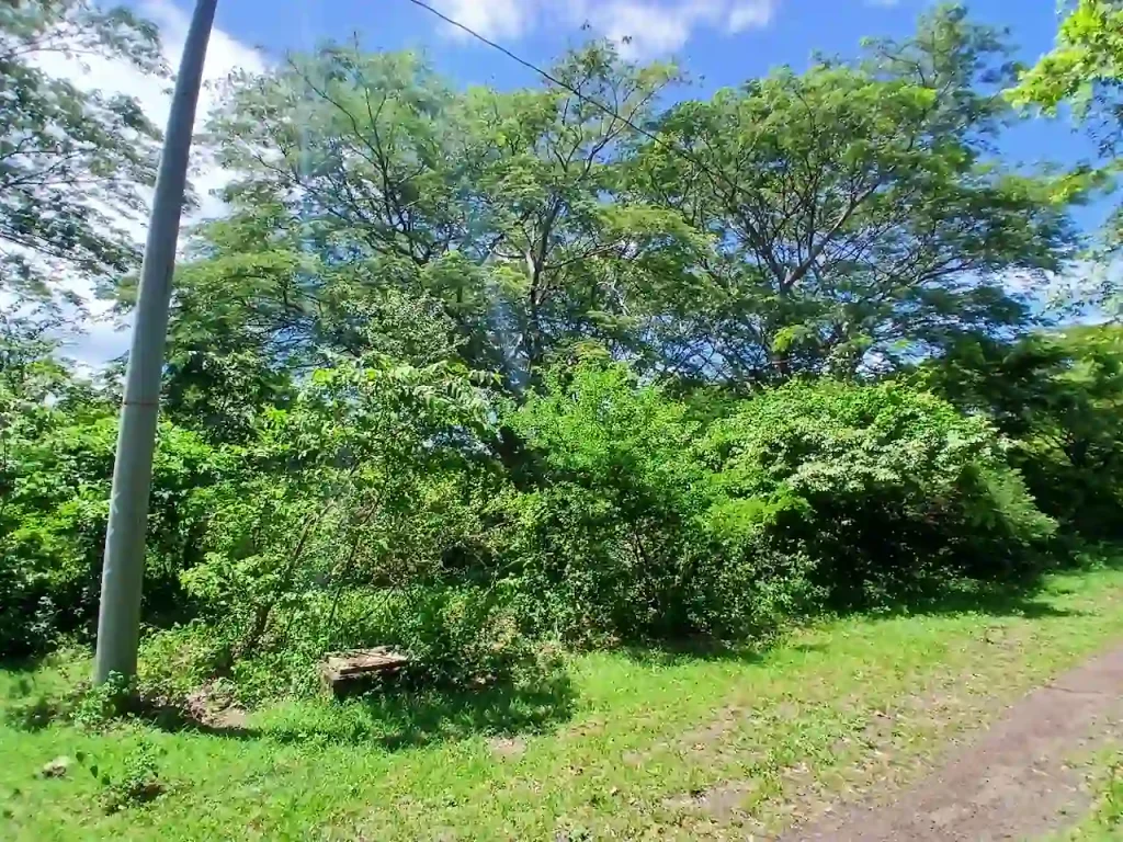 lot #26