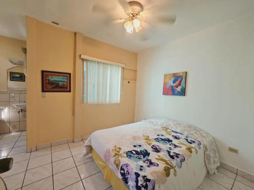 Apartmernts (7)