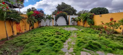 home-for-sale-near-park-of-esteli (39)