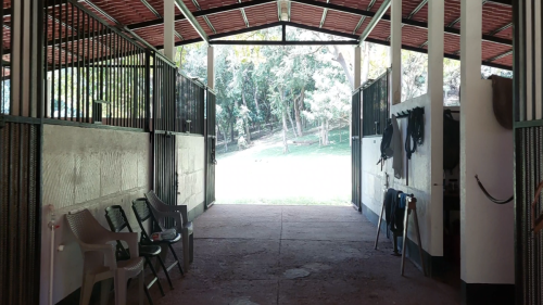NRET-Option-15-Tiempo-0 01 3820