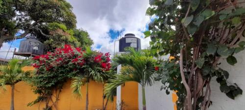 home-for-sale-near-park-of-esteli-10